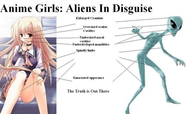 thetruthaboutanimegirls.png