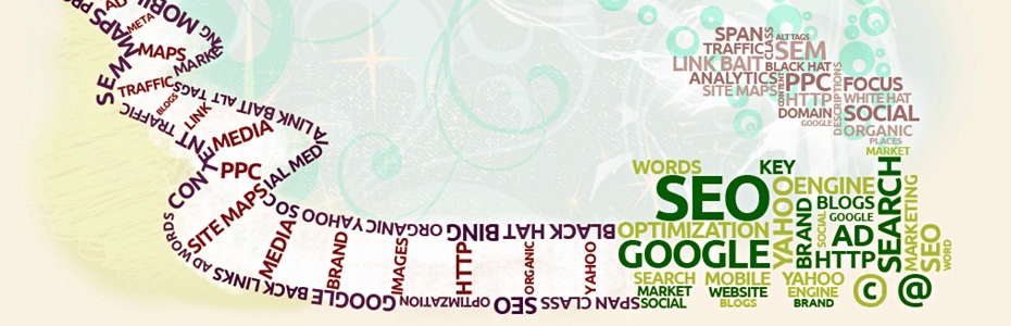 SEO Services in Delhi