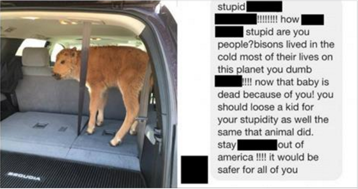 1BabyCalf.PNG