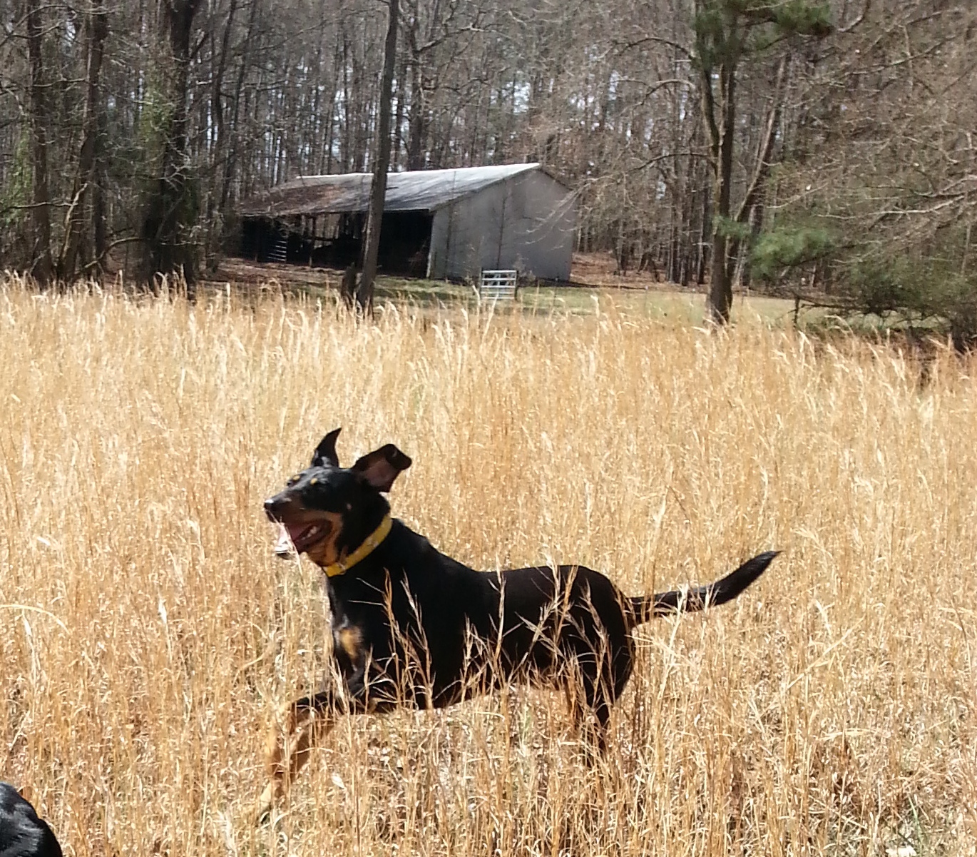 20150315_1226501.jpg