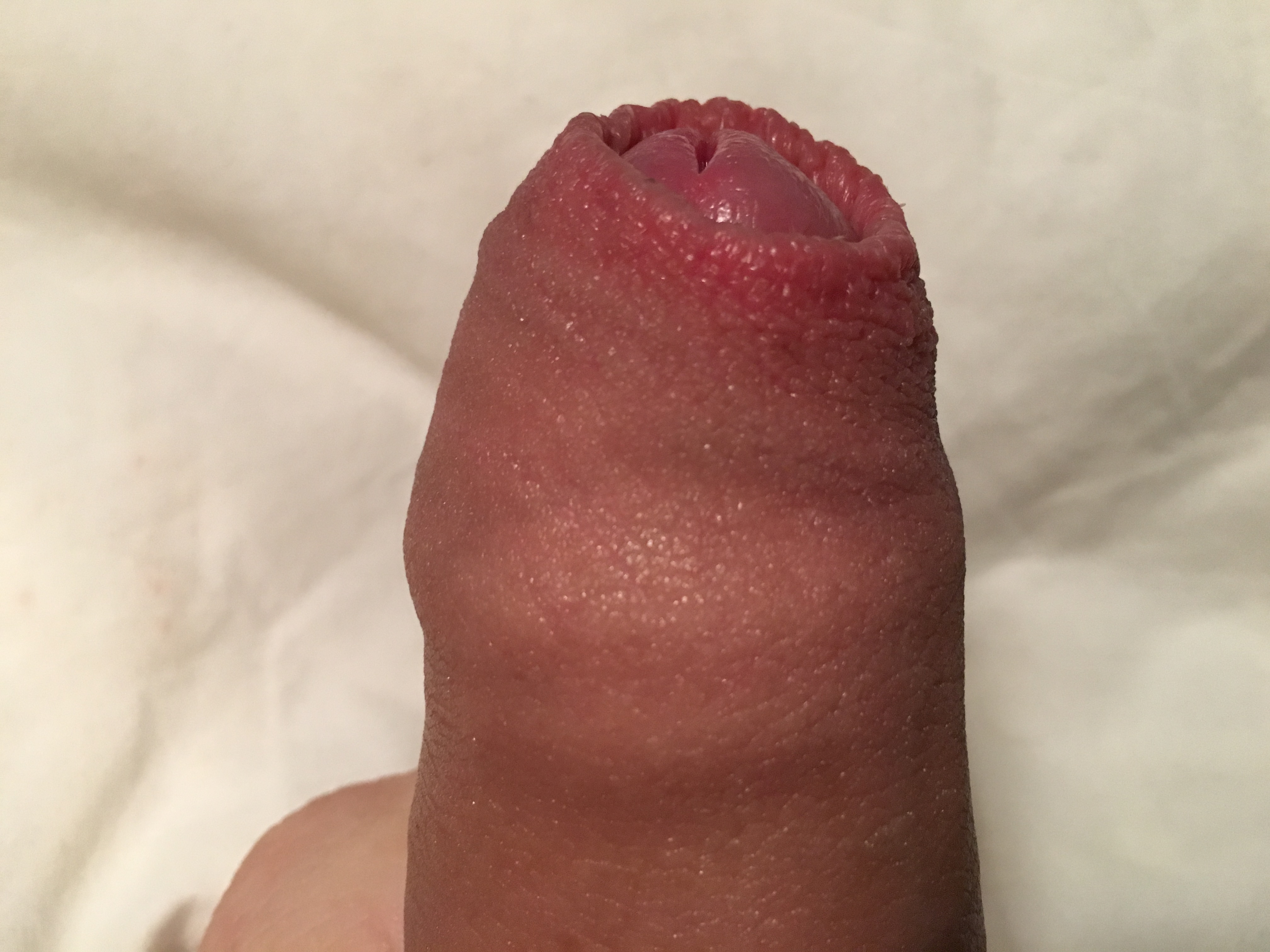 image.jpeg