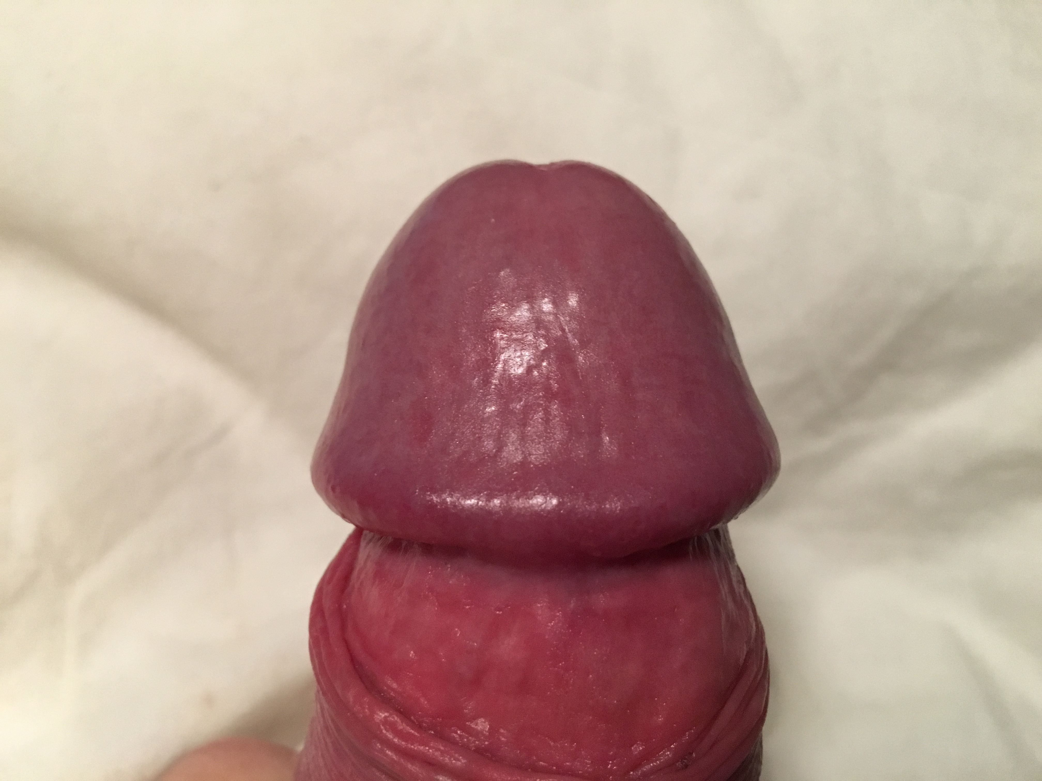 image.jpeg