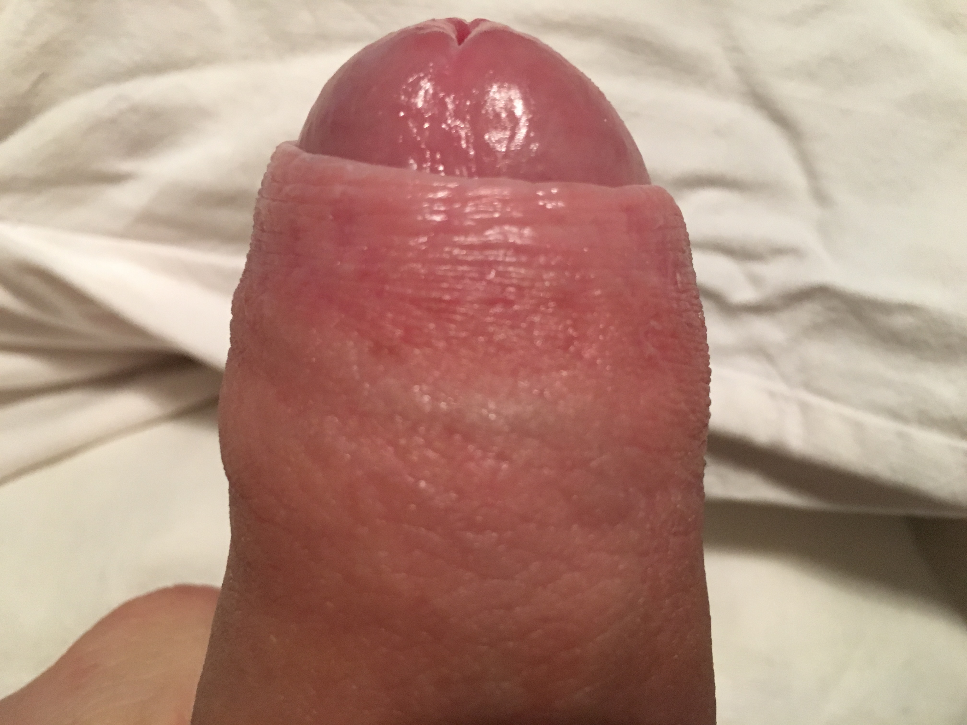image.jpeg