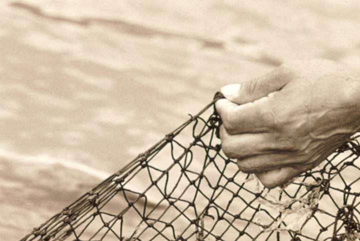 fishing net