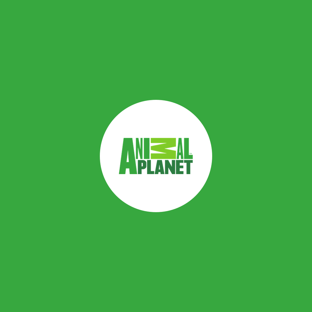 AnimalPlanet.png