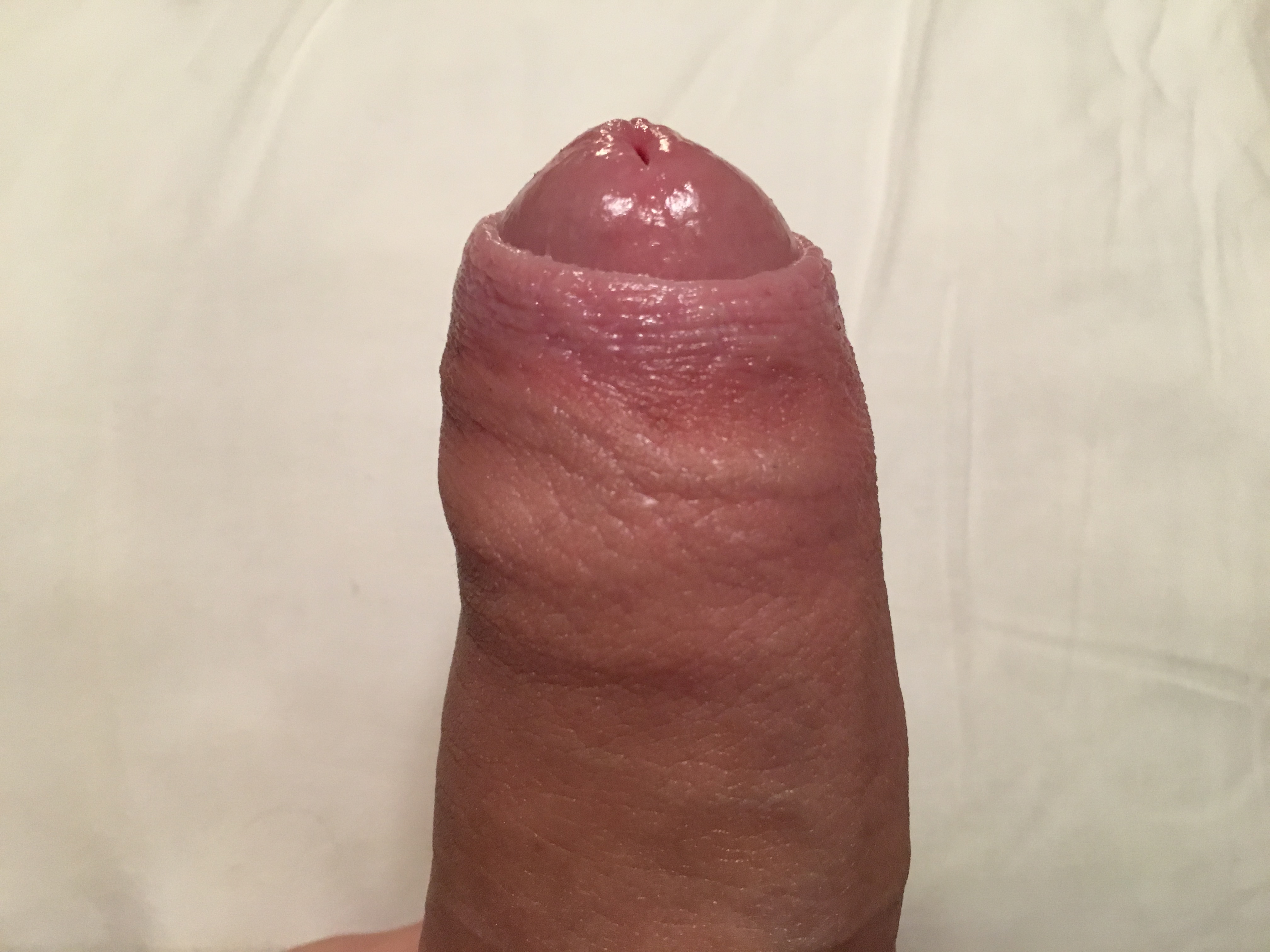 image.jpeg
