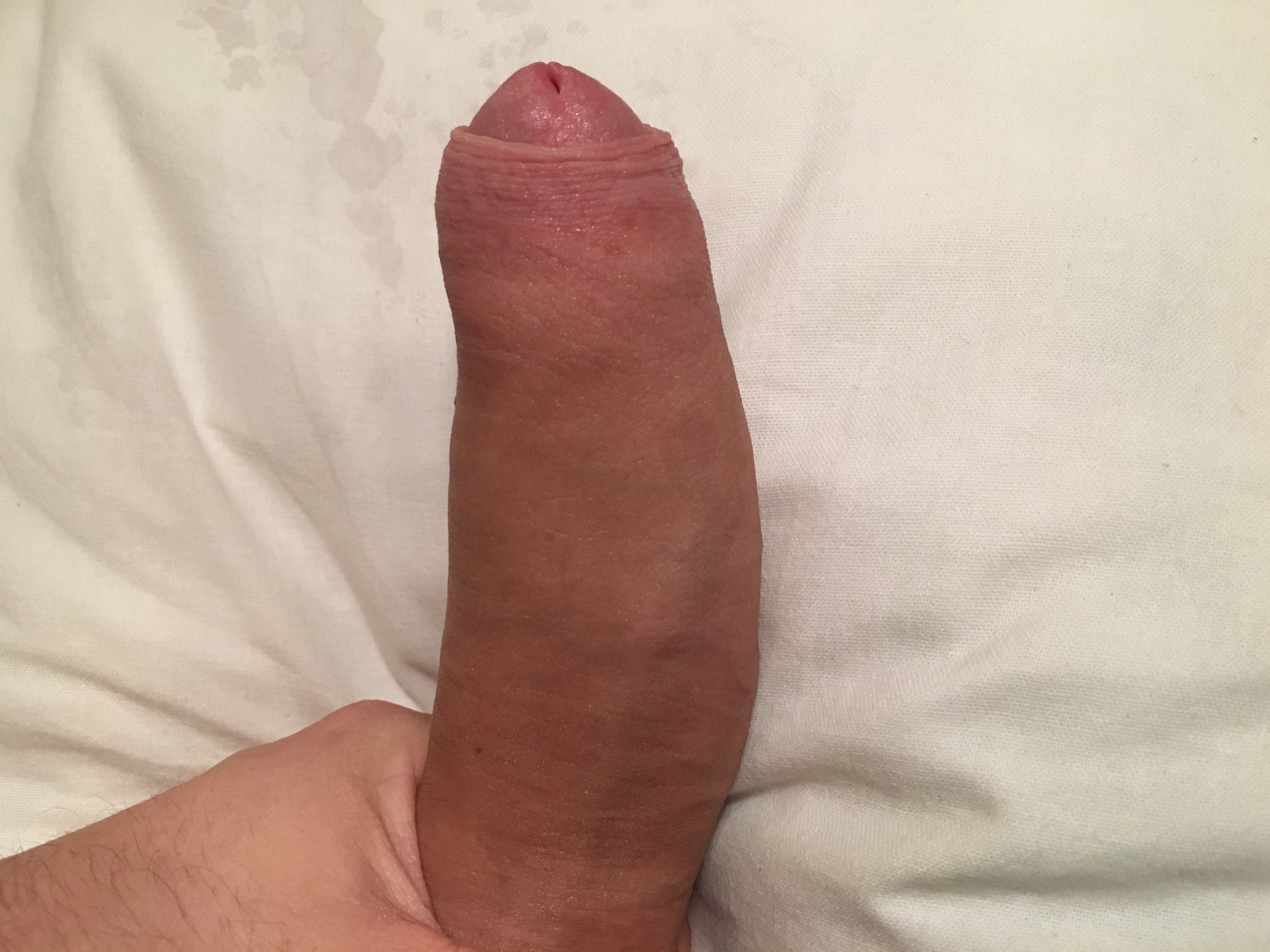 image.jpeg