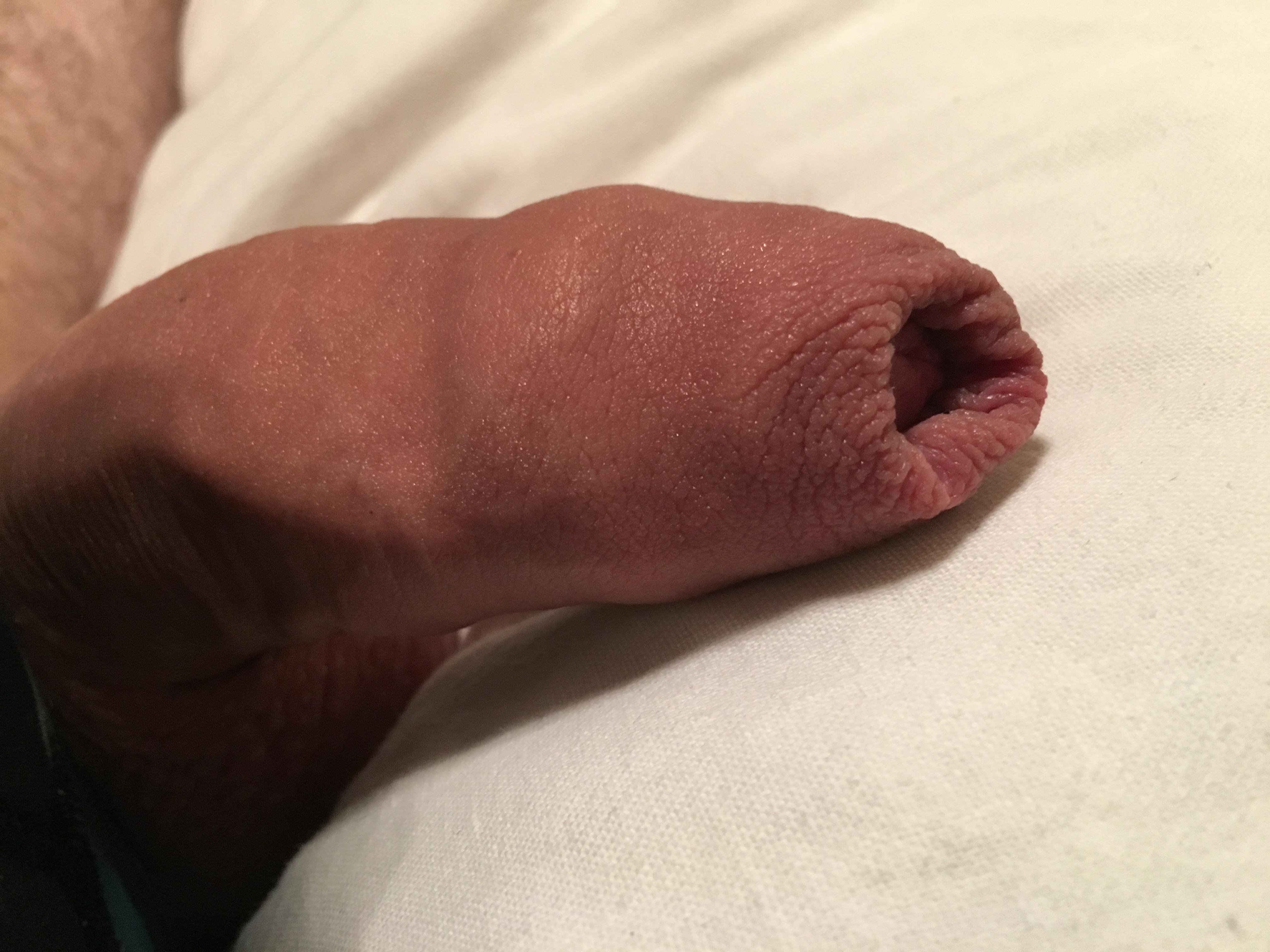 image.jpeg
