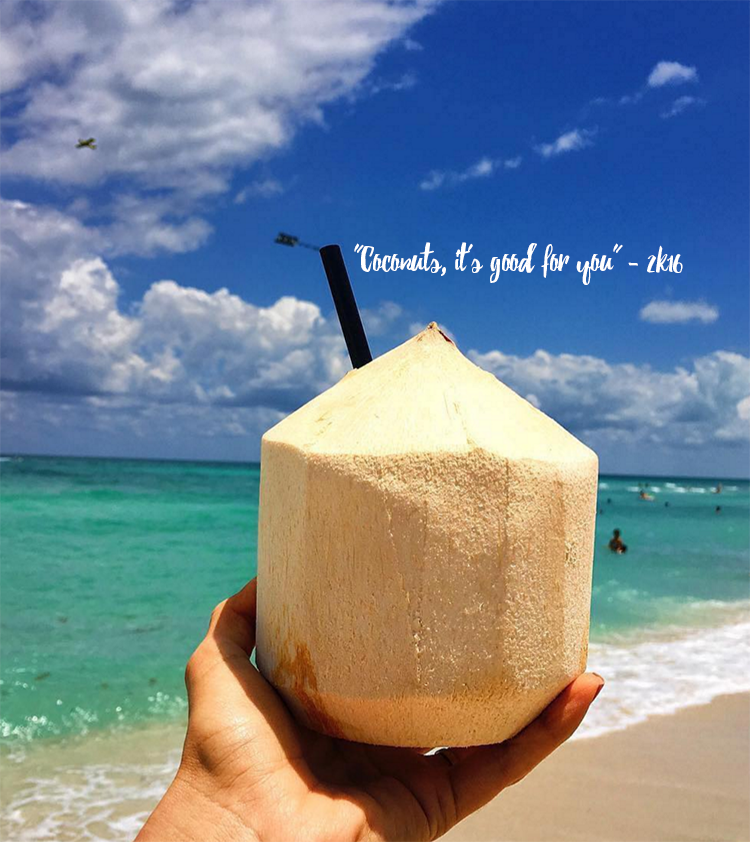 coconut3.png
