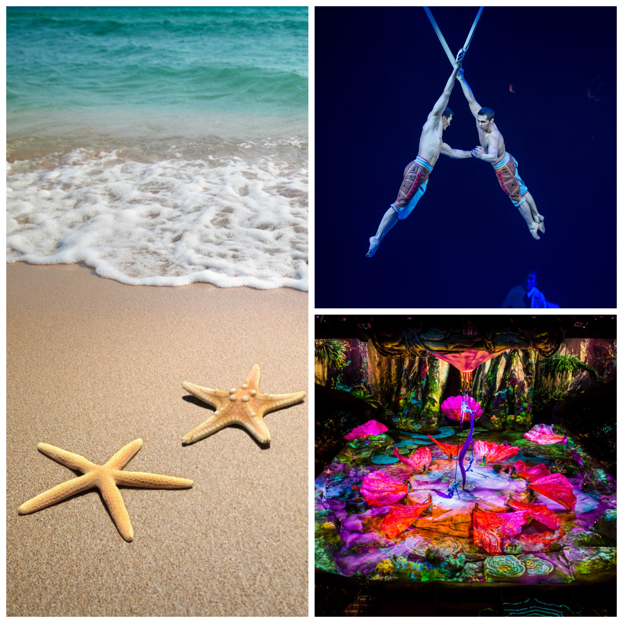 Fosuncollage.jpg