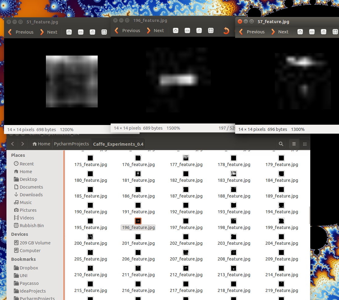features.png