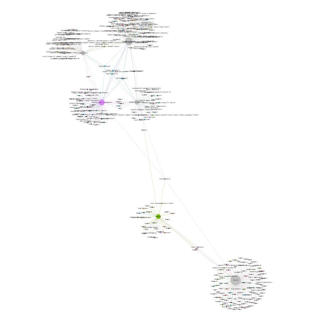 lucy_graph_five