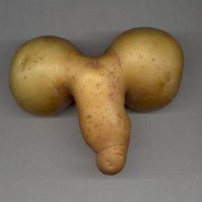 potato_penis_400x400.jpg