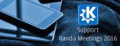 RM2016 small banner