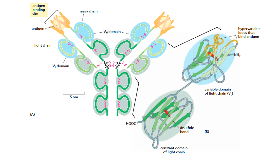 Figure4-33.PNG