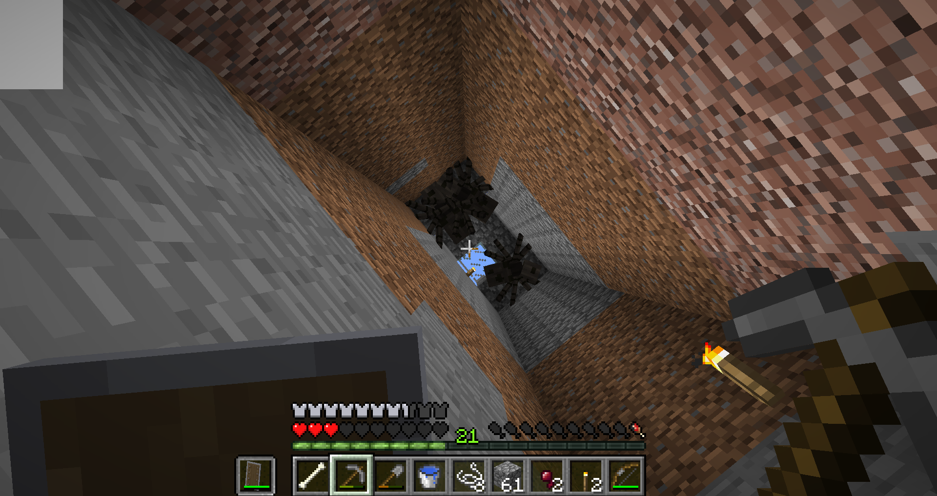 Spiders... I hate spiders