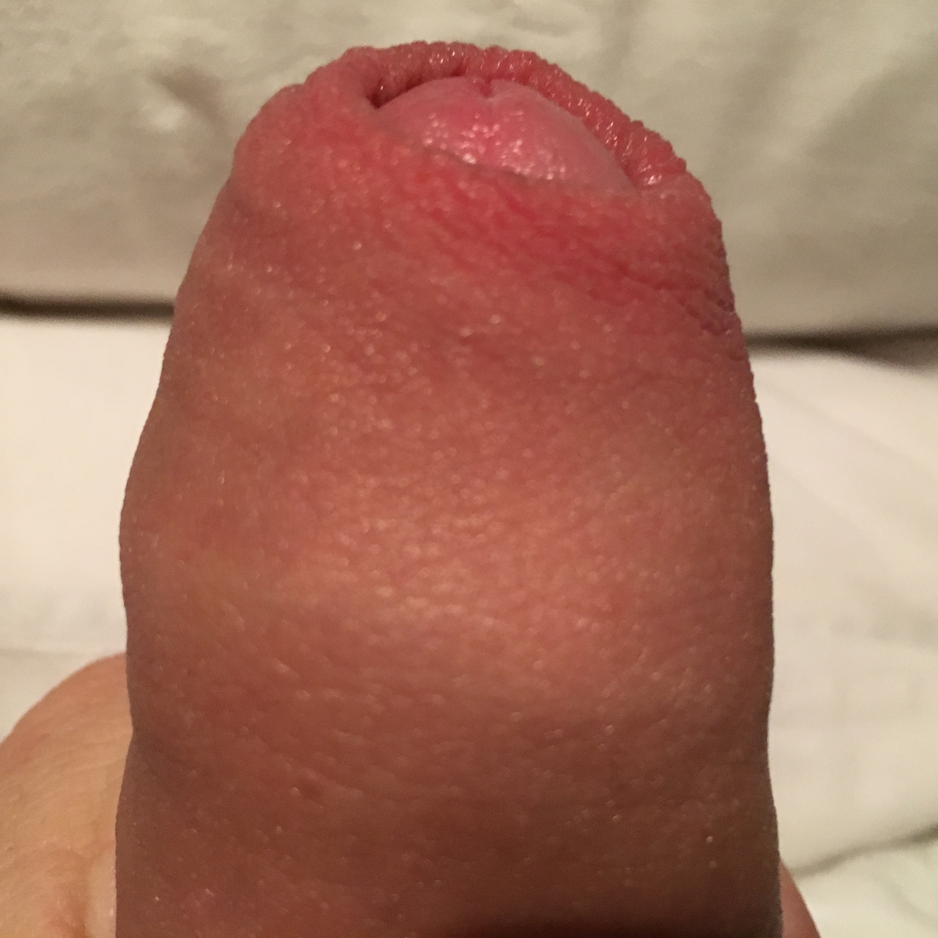 image.jpeg