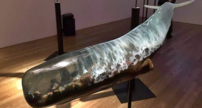 whale003.png