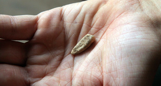 France-Prehistoric-To_Druk-2-740x493.png