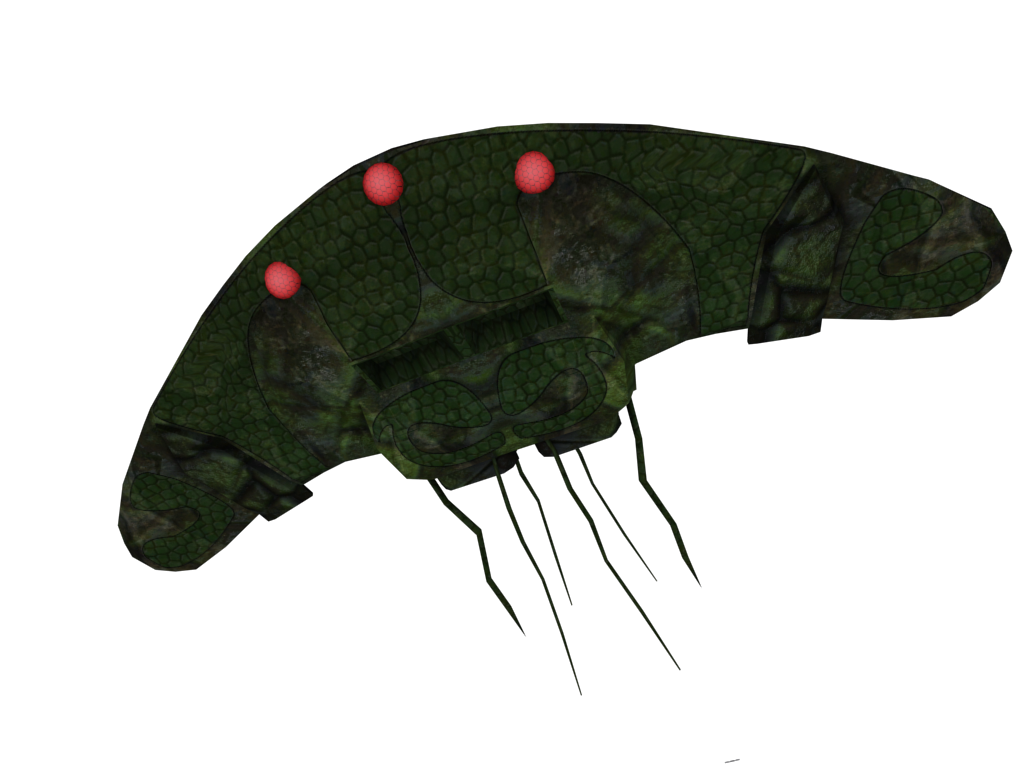 2.png
