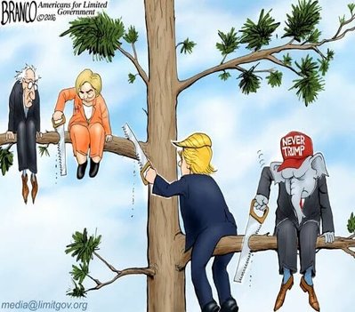 rsz_trump_cartoon.jpg