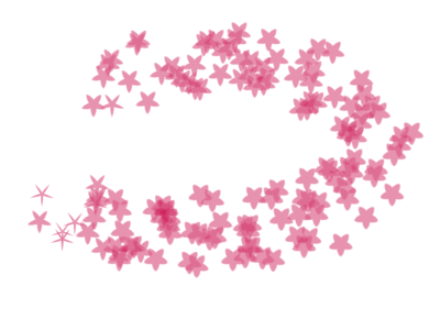 Stars and Flowers