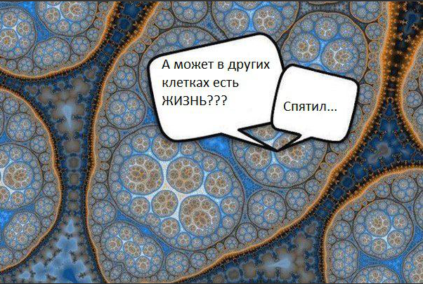 screen_2016-07-12_11-55-03_window.png