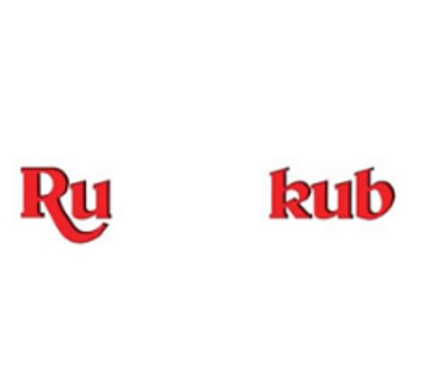 RIS.jpg