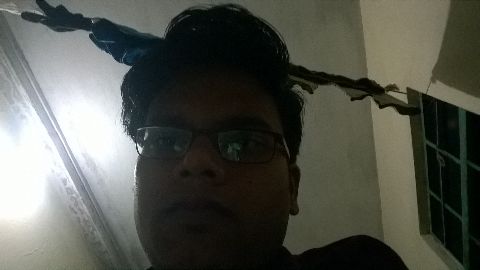 RIS.jpg