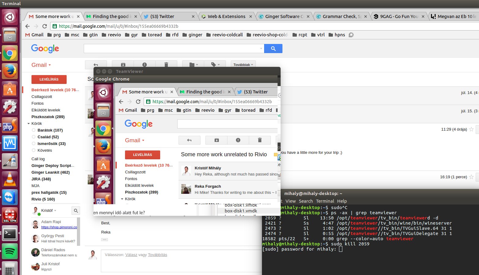 teamviewer_crash_screenshot.jpg