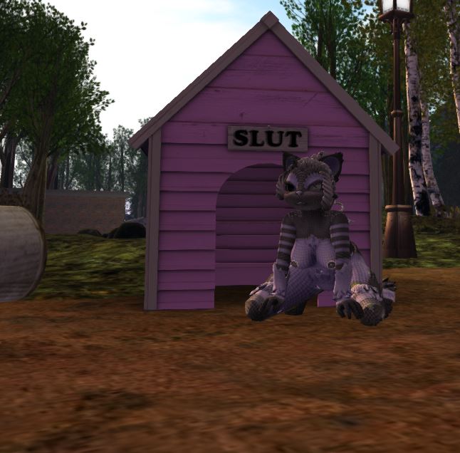 Capture4.JPG