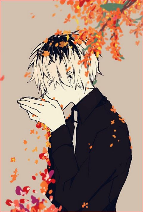 RIS.jpg