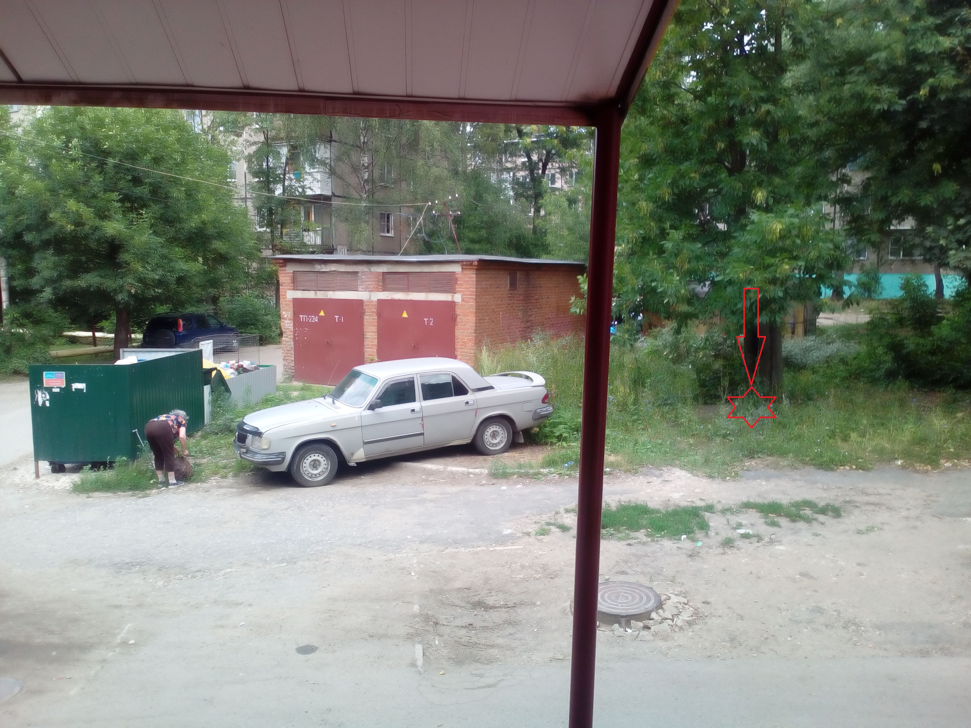 IMG_20160720_121945.jpg