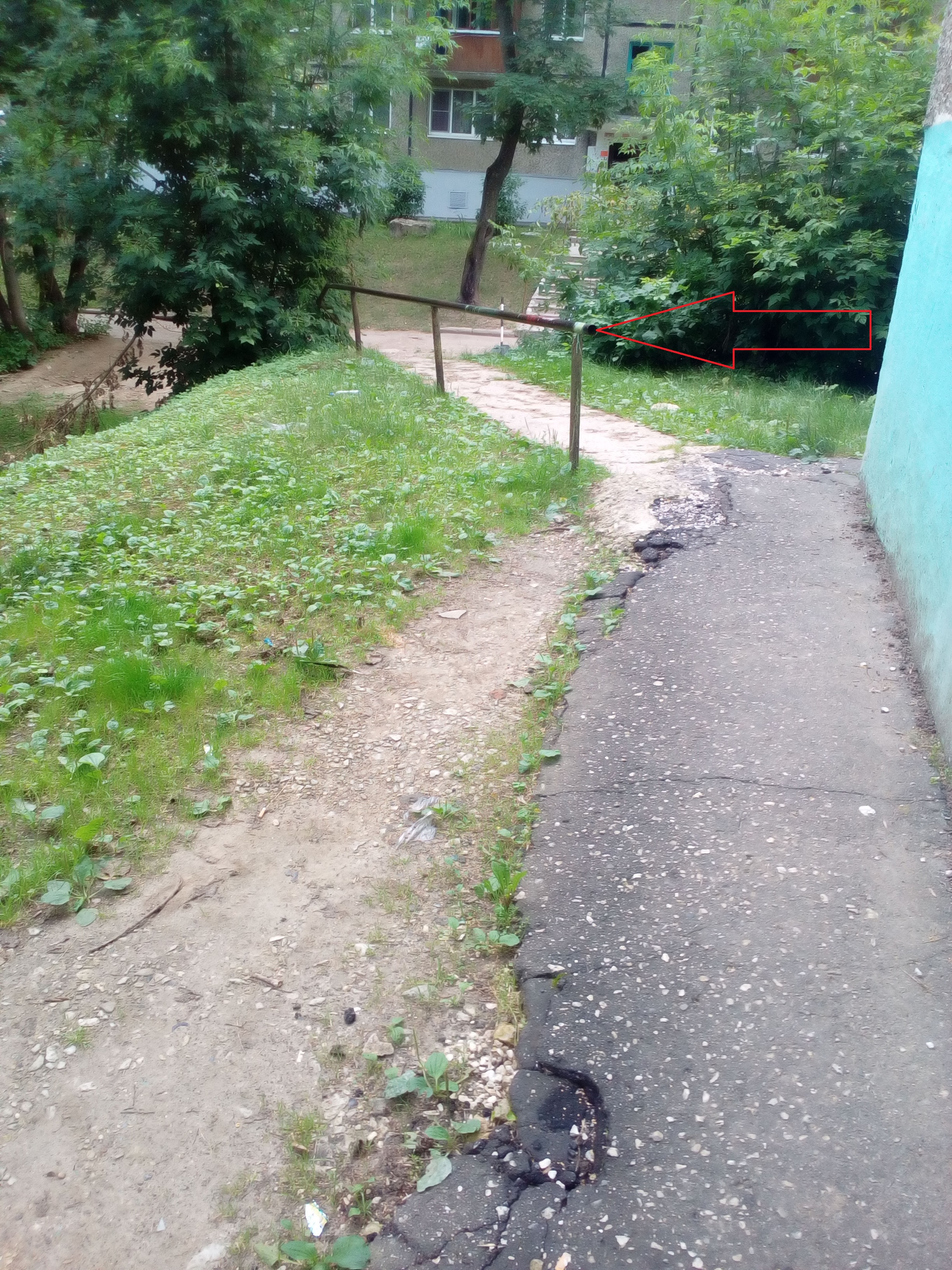 IMG_20160720_130018.jpg