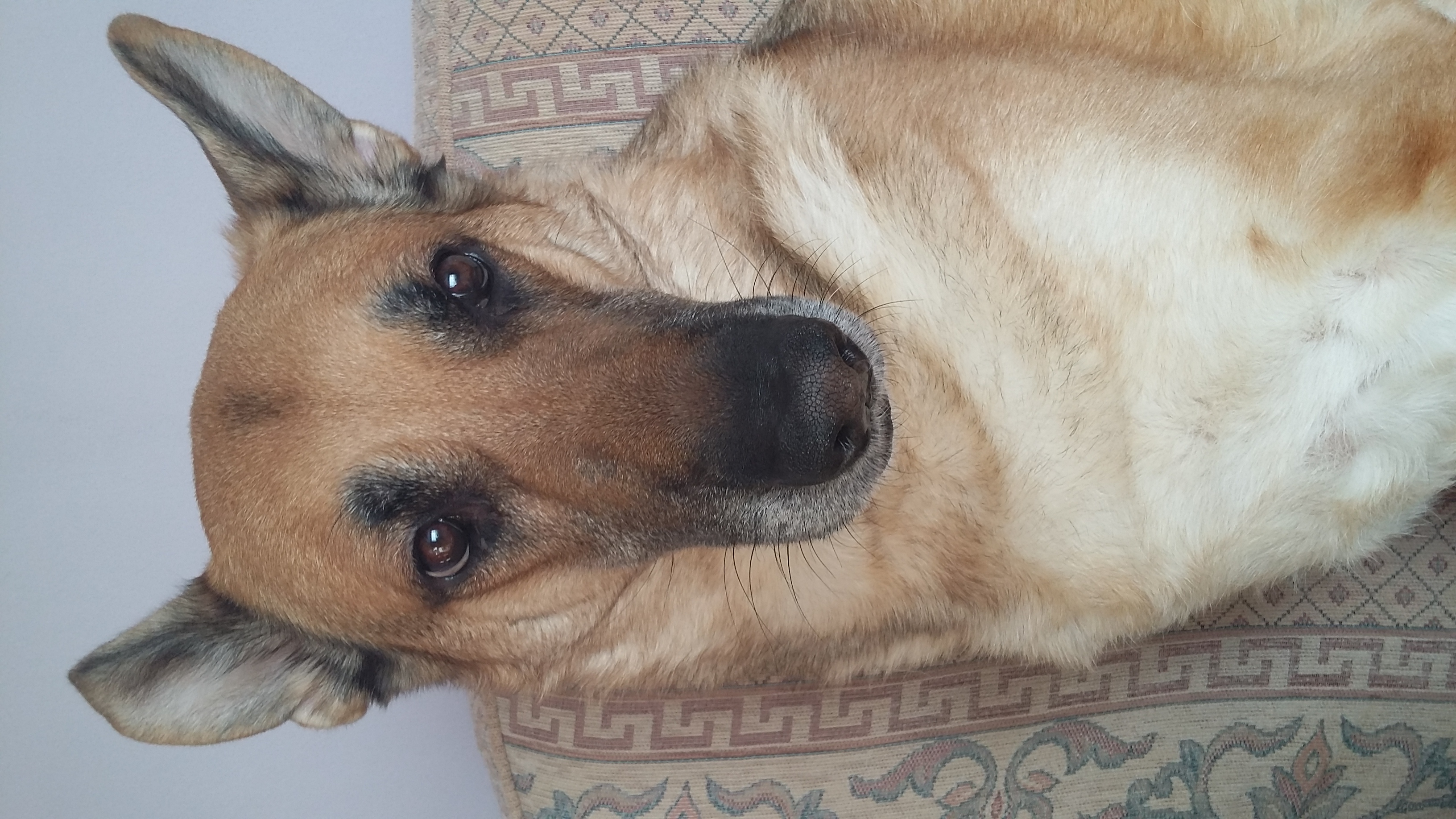 20151120_141150.jpg
