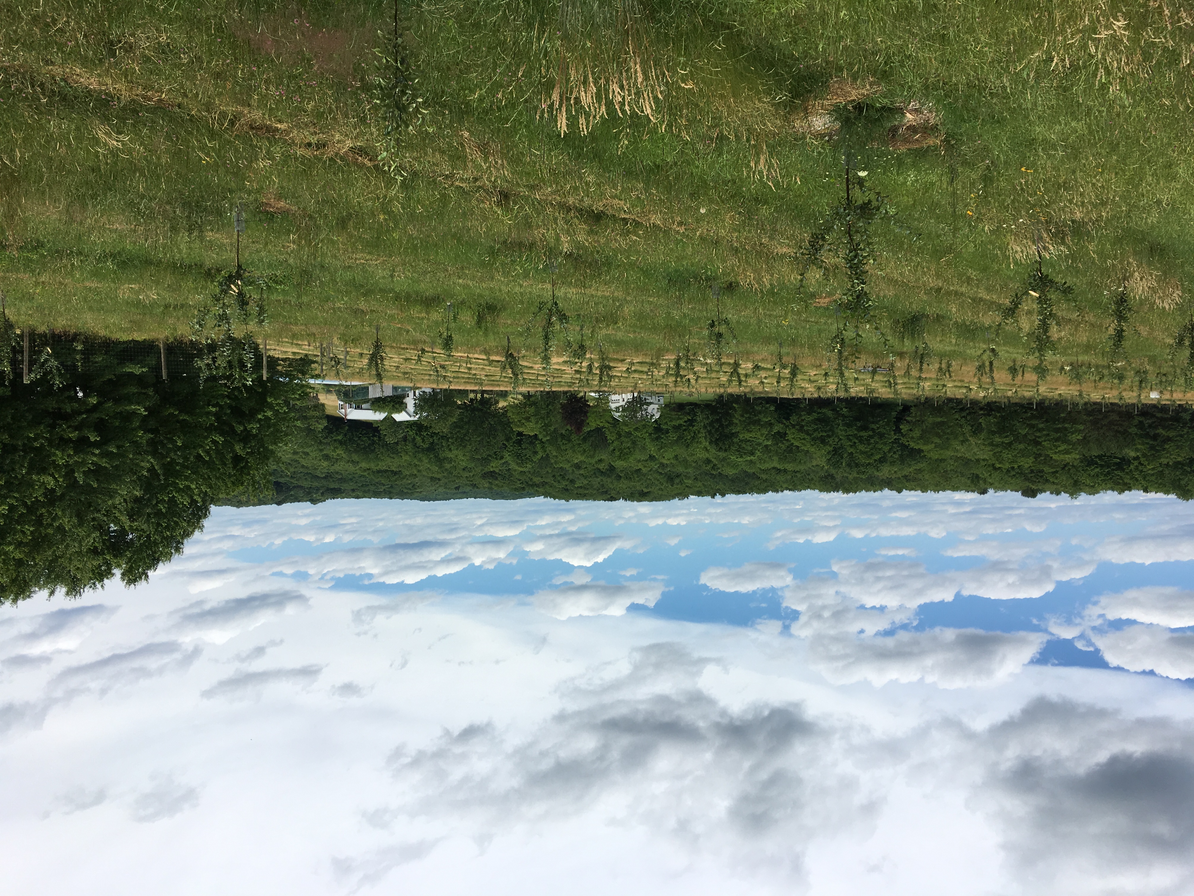 vista