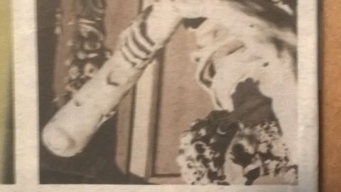 RIS.jpg