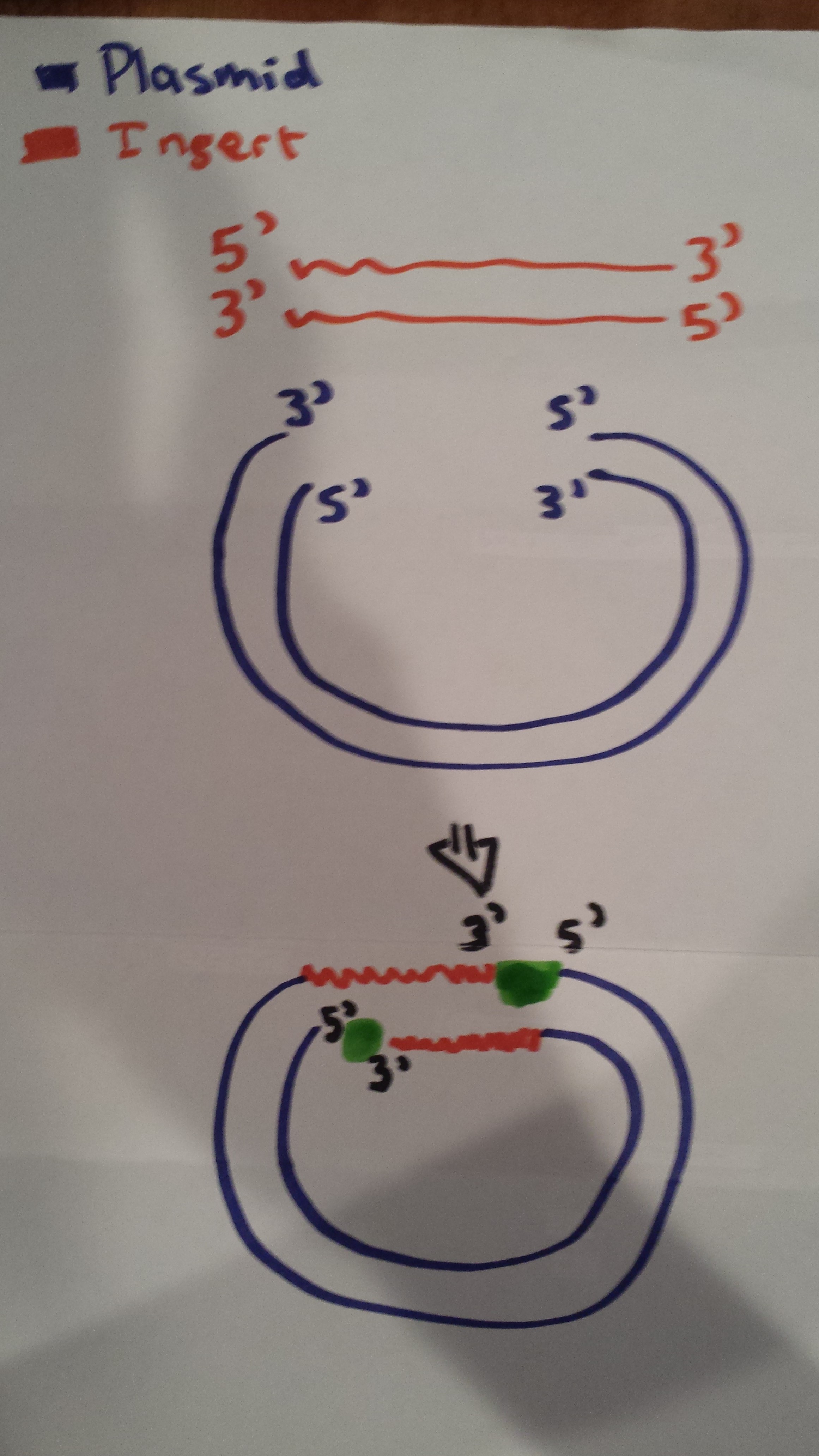 20160724_165059.jpg