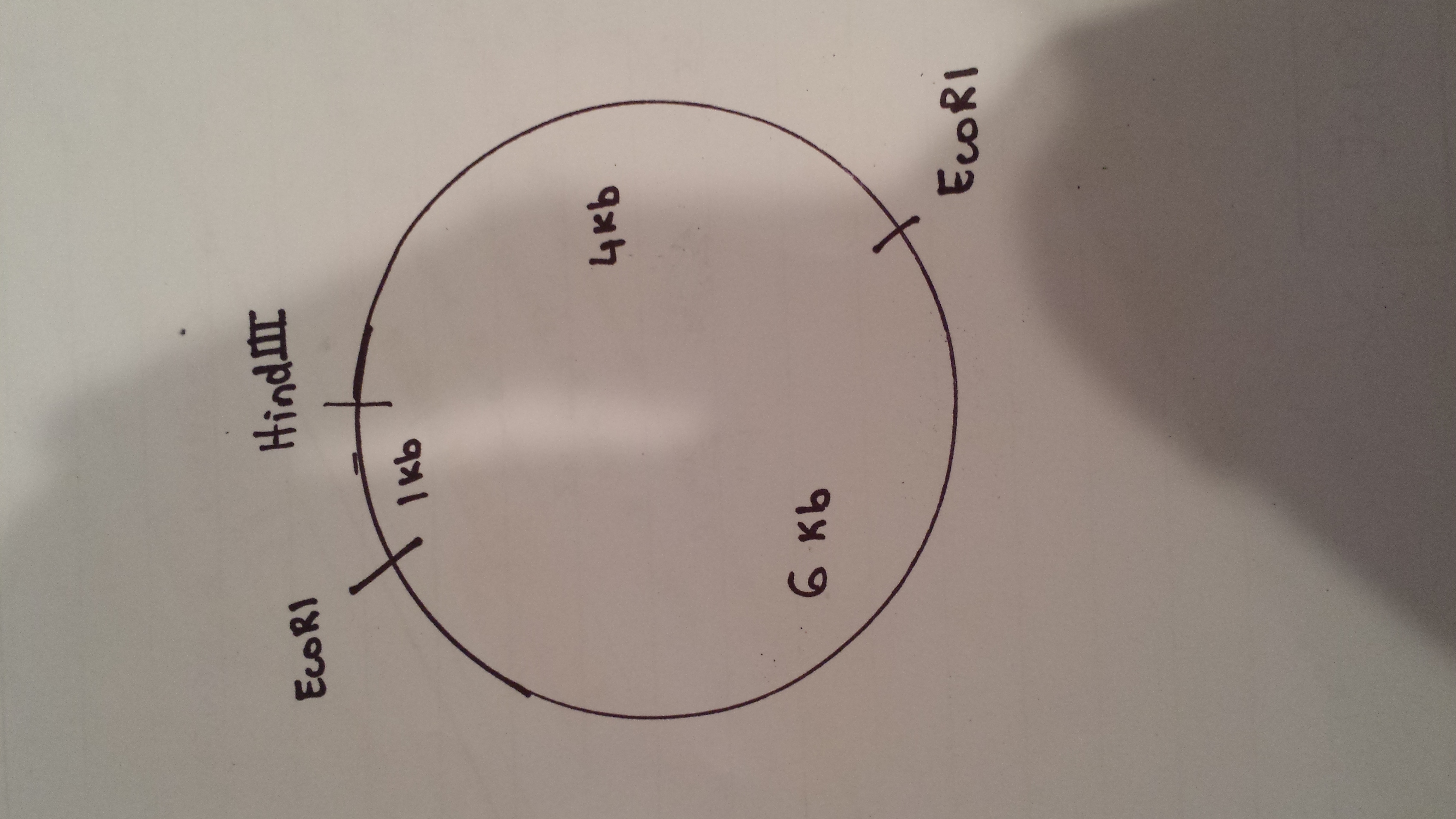 20160724_194819.jpg