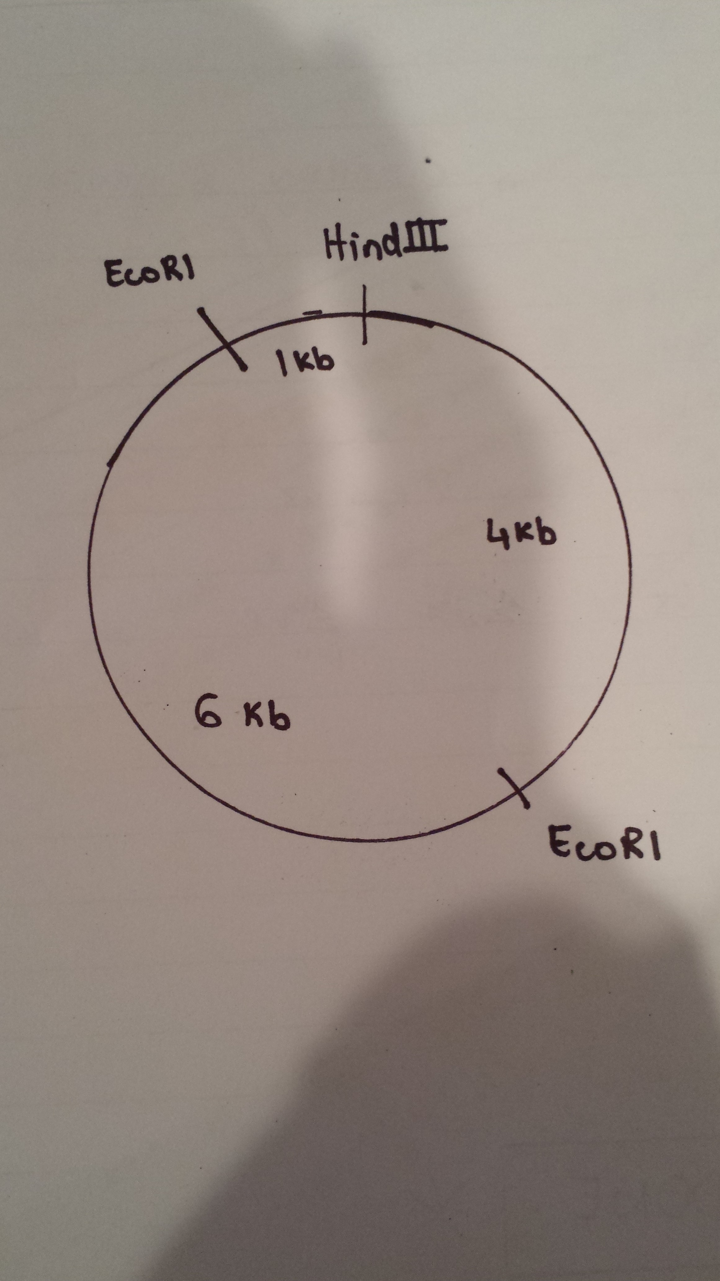 20160724_194819.jpg