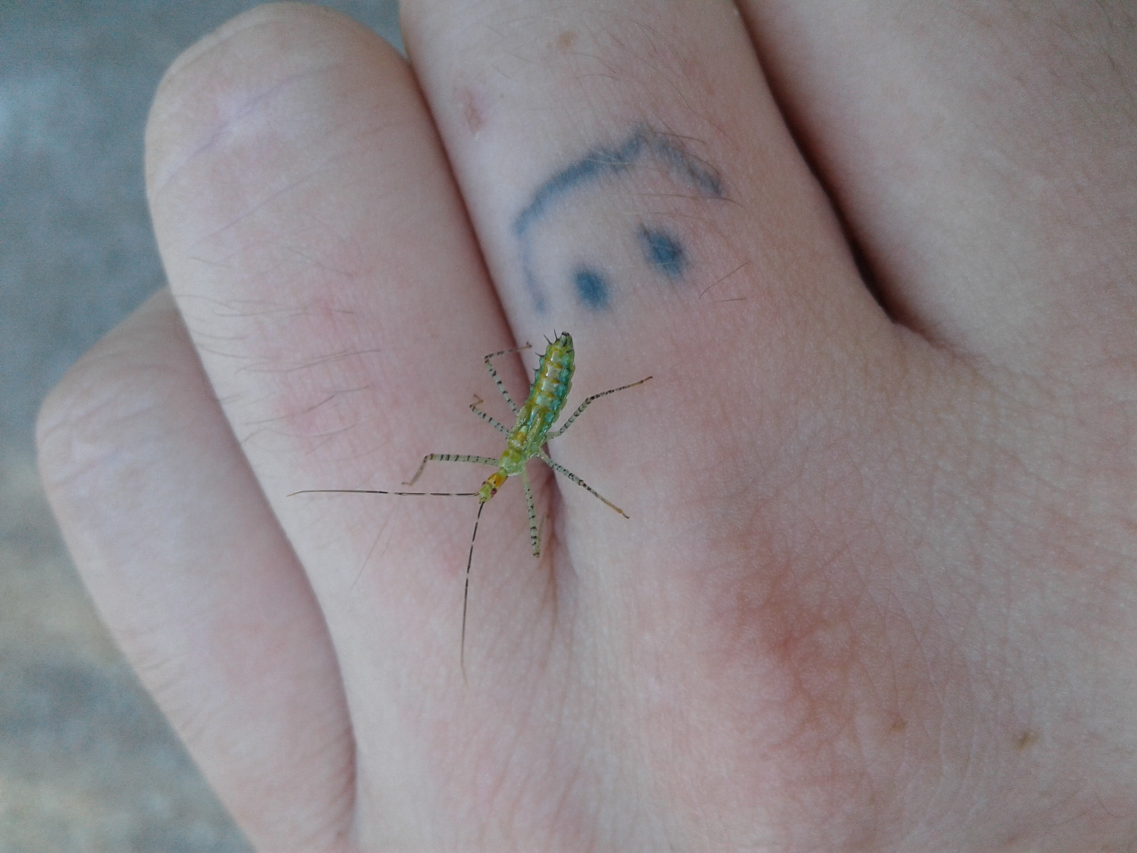20160724_183811.jpg