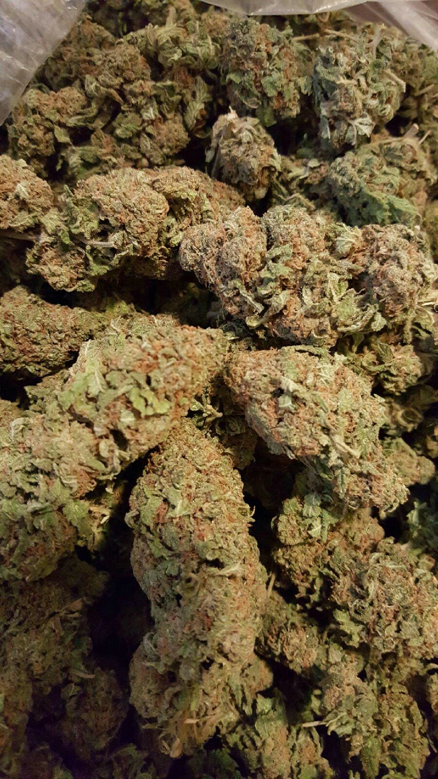 Gdp