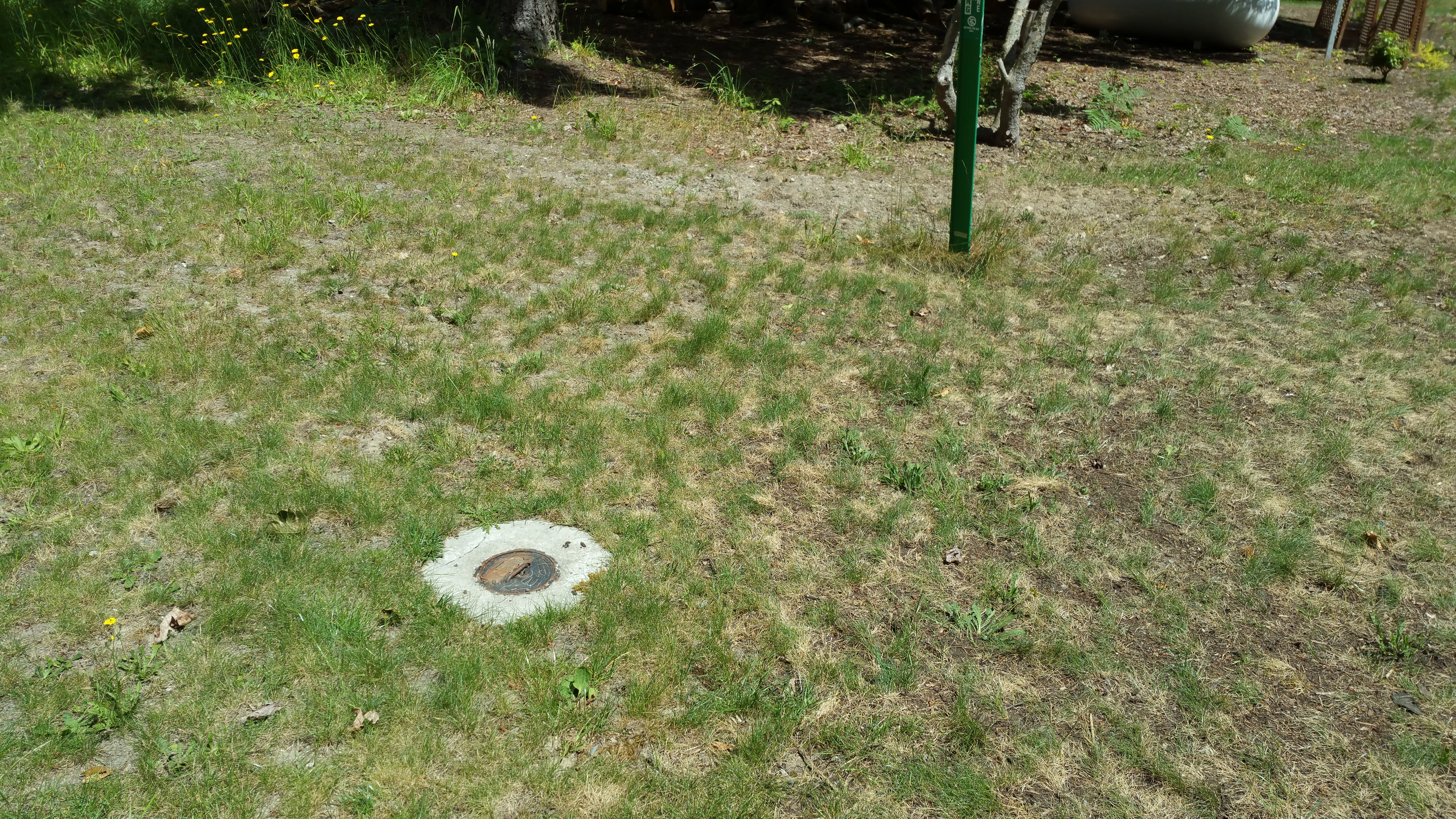 20160616_135842.jpg