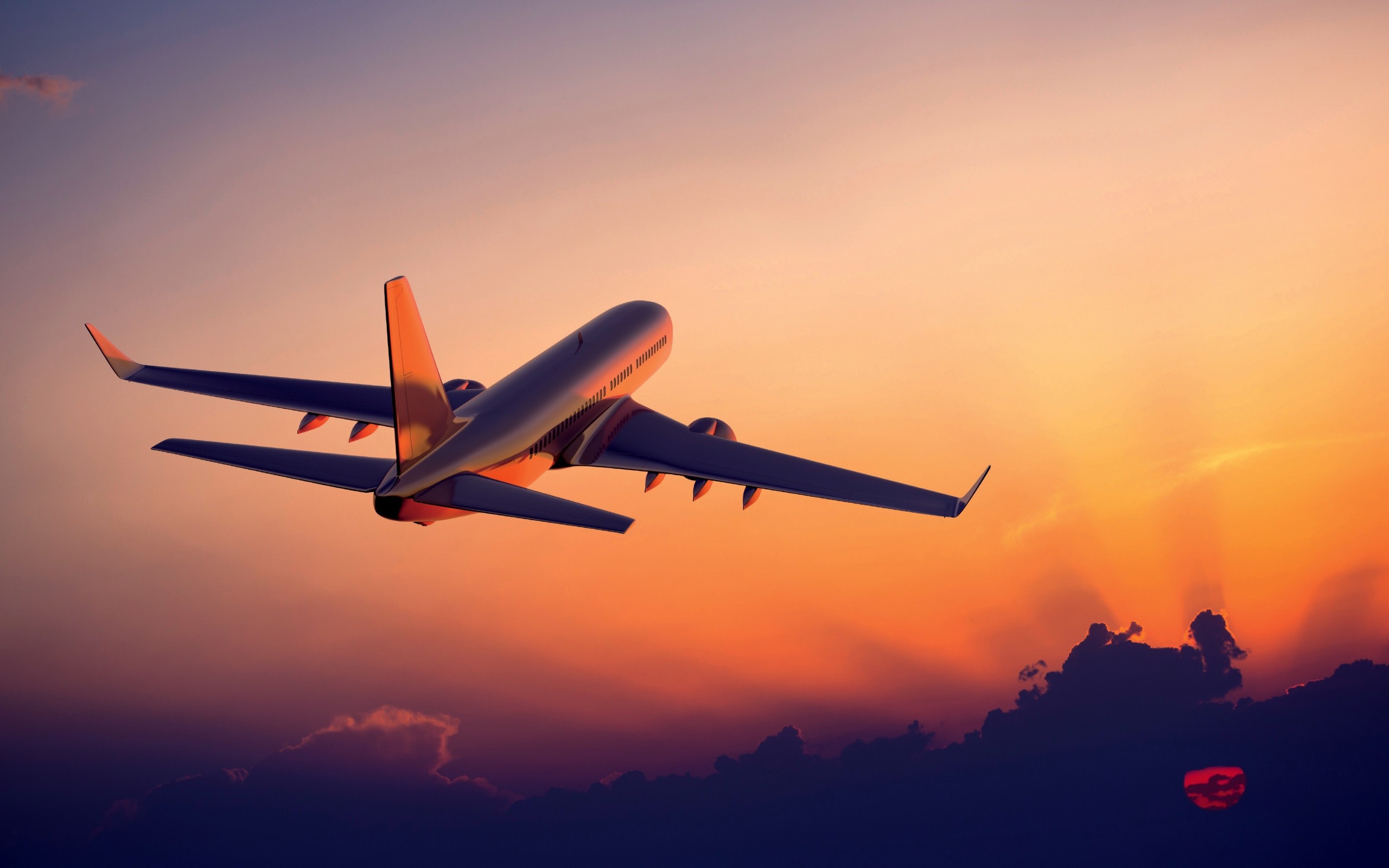 flight-at-sunset.jpg