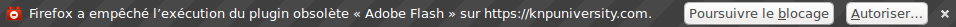 knpu_flash.png