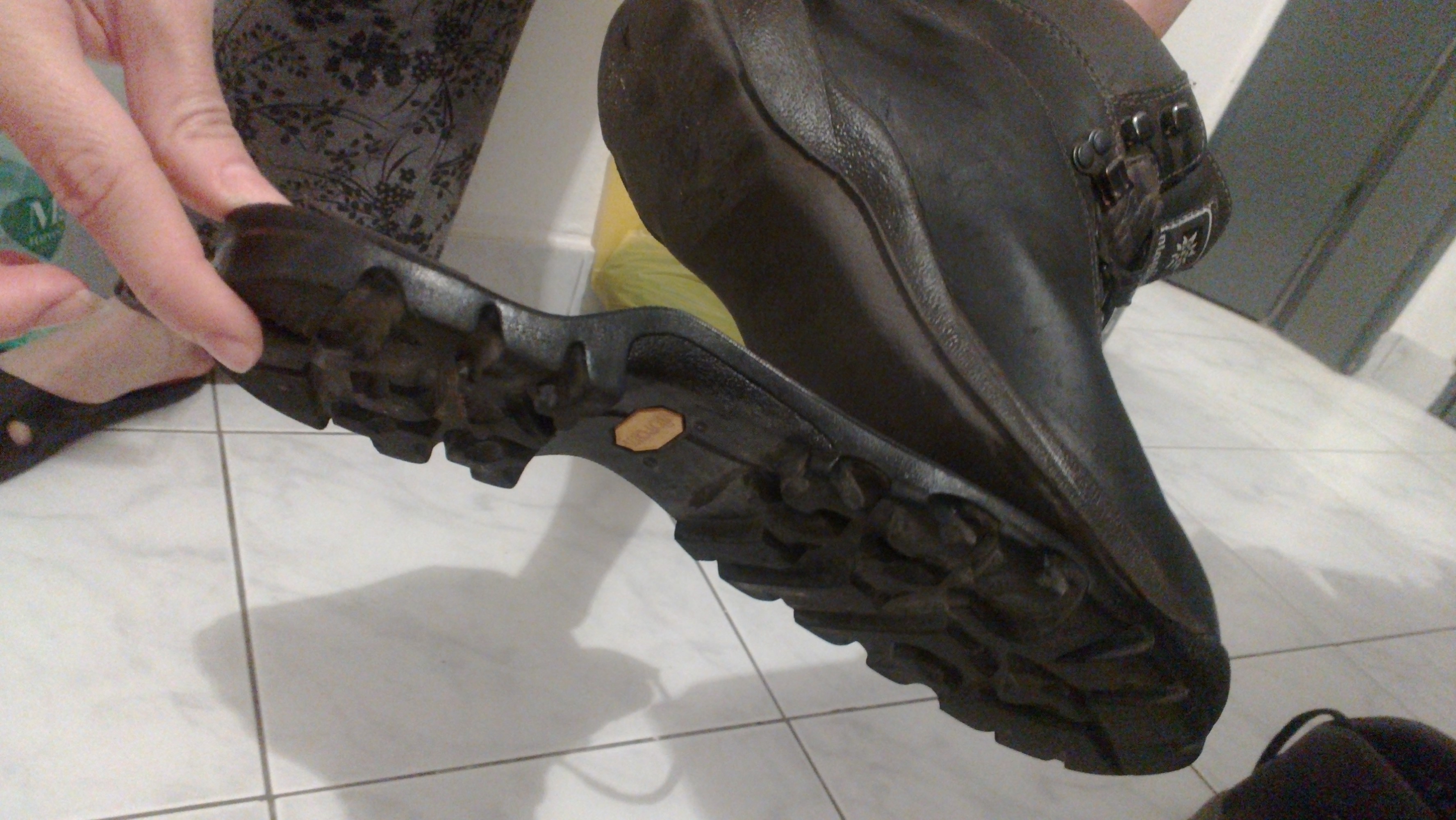 Anapurna_lady_sole_1.jpg