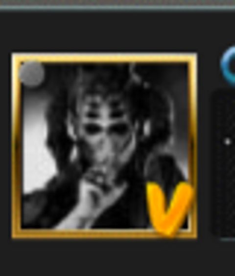 RIS.jpg