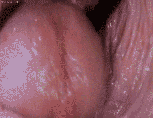 tumblr_nd2ppmDjXR1s4yp6oo2_500.gif