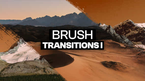 47587680-10-brush.jpg