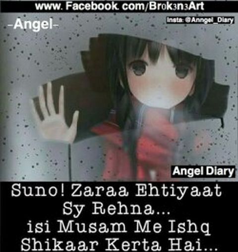 RIS.jpg